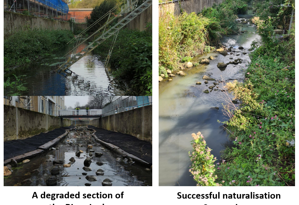 River Lark Channel Restoration project