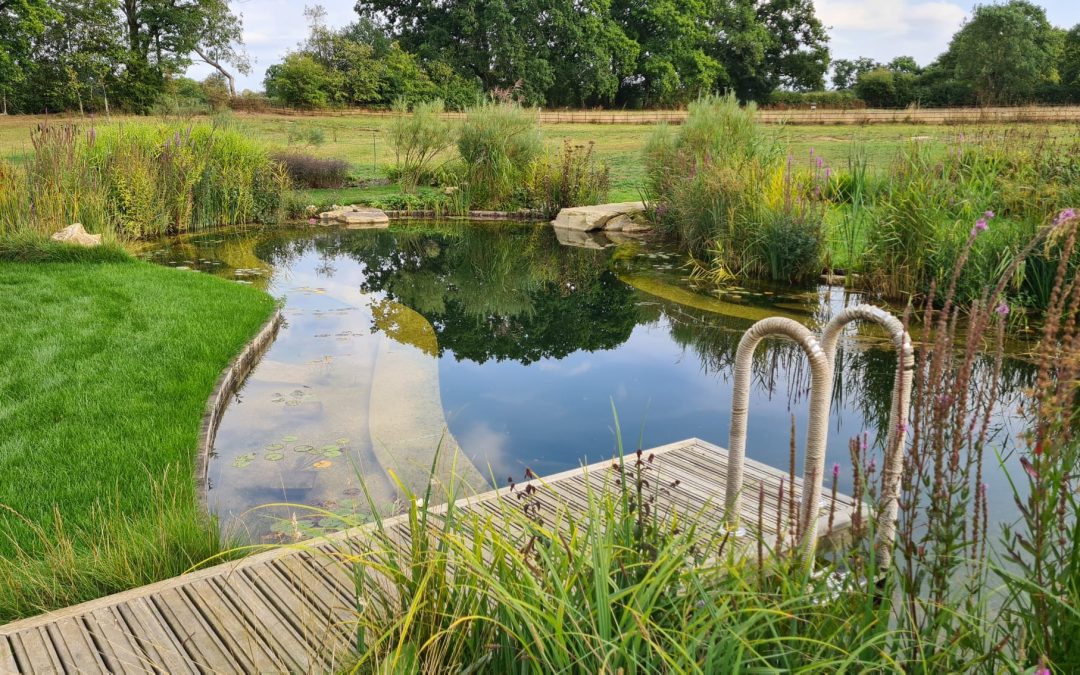 Another beautiful Swimming Lake project completed