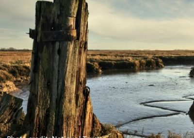 Wetland Habitat Creation – Northey Island