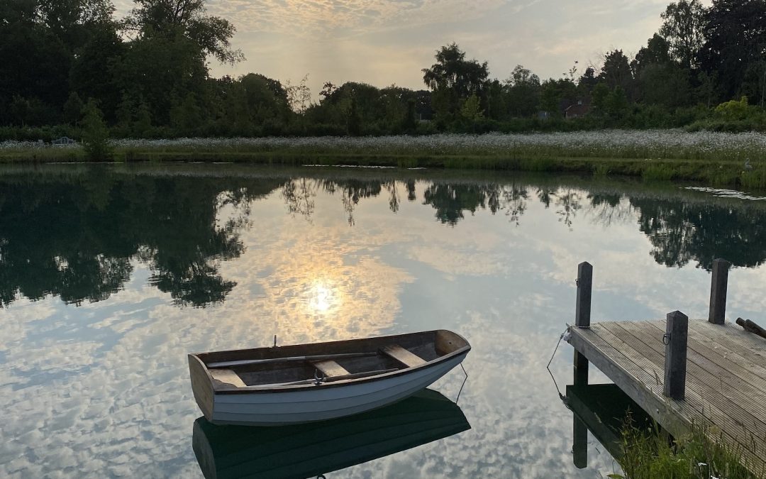 Private Lake & Wetland Project