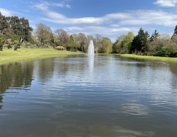RHS Wisley Clear Lake