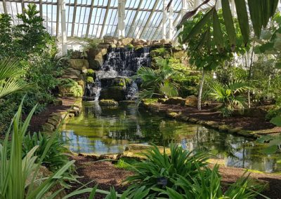 Reflection Pool & Waterfall Creation
